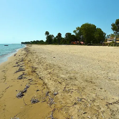 Antonia Beachfront