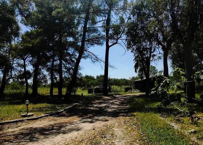 Antonia Beachfront * Λευκίμμη