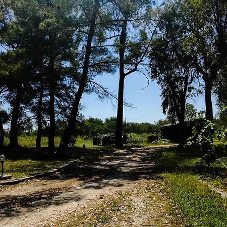 Antonia Beachfront * Lefkimmi (Corfu)